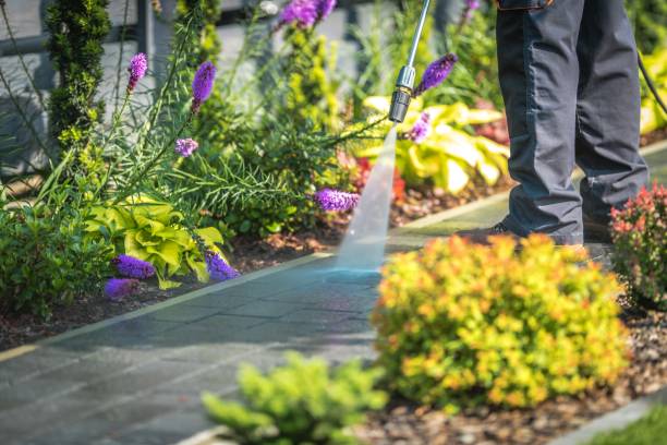 Best House Exterior Washing  in Wadena, MN