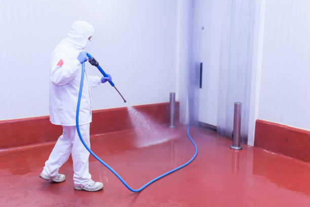 Best Winterizing Services  in Wadena, MN