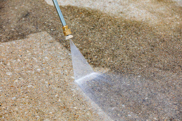 Best Patio and Deck Pressure Washing  in Wadena, MN