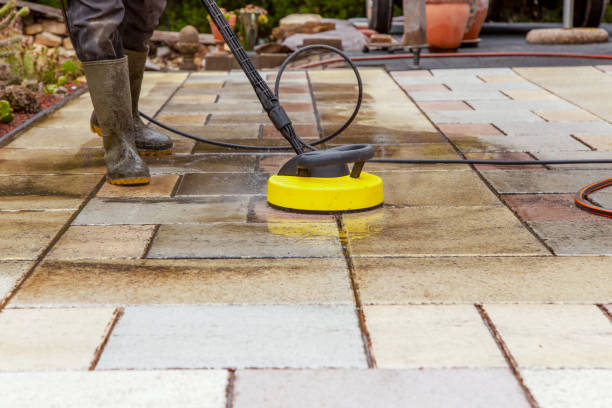 Best Dumpster Area Cleaning  in Wadena, MN