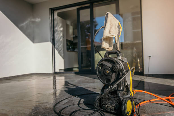 Best Pre-Holiday Cleaning  in Wadena, MN
