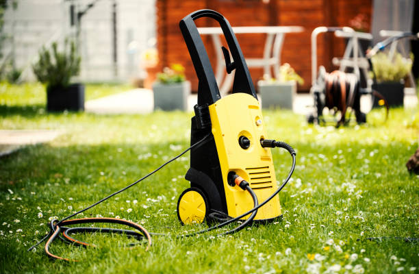 Best Spring Cleaning  in Wadena, MN